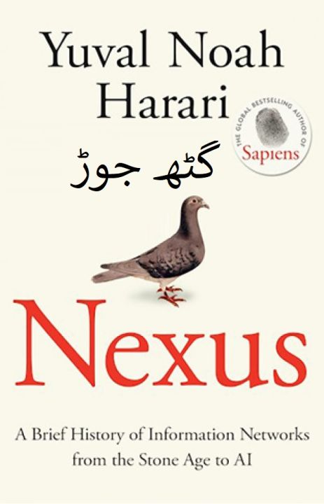 Image of dhari.pk-nexus